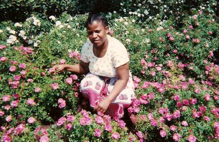 Ma tante
